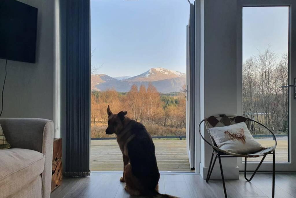 Ben Nevis Scotland Highlands, Camden House Luxury Home 포트 윌리엄 외부 사진